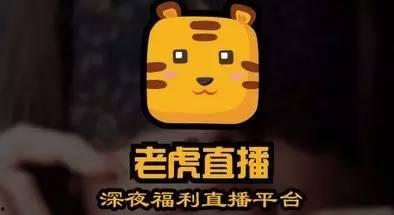 国产深夜福利在线播放